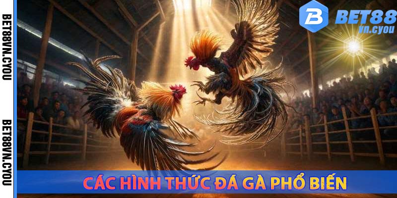 hinh-thuc-ca-do-da-ga-truc-tuyen-pho-bien